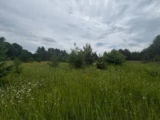 Земельный участок 917 м², КН 50:29:0040704:350, Московская область. Площадь земельного участка: 917. Кадастровый номер земельного участка: 50:29:0040704:350. Основной вид разрешенного использования: 2.2.