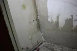 Нежилое помещение площадью 124,1 кв.м, кадастровый номер 43:40:000459:3739, адрес: Кировская область, город Киров, улица Ленина, дом 191.