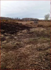 Здание 39,7 кв.м. с земельным участком 1661 кв.м. в Челябинской области, категория земель – земли населённых пунктов, вид разрешённого использования – для ведения личного подсобного хозяйства. Здание разрушено. Кадастровые номера: участок – 74:09:0301004:91, здание – 74:09:0301004:179.