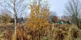 Земельный участок 1334 кв.м, Московская область. Кадастровый номер 50:05:0040209:758. Вид разрешённого использования 2.1.