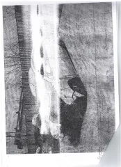 Ford Fusion, государственный регистрационный знак С308ЕМ72, VIN WF0UXXGAJU8R11798. Запрет ФССП. Имущество продается в том виде, в каком оно есть, в случае продажи возврату или обмену не подлежит. За скрытые дефекты имущества продавец ответственности не несет. Вид транспорта: легковое авто. Год…