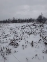 Земельный участок площадью 3900 кв. м в Вологодской области, Вологодский район, Вотчинское сельское поселение, деревня Свободный Угол. Категория земель: земли населённых пунктов. Разрешенное использование: для ведения личного подсобного хозяйства. Кадастровый номер: 35:25:0104015:10. Граница…