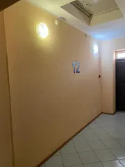 Нежилое помещение 3,8 кв.м, Ставропольский край, вид объекта недвижимости: помещение, назначение: нежилое, площадь 3,8 кв.м, этаж № 12, кадастровый номер 26:12:011503:8563, ограничение прав и обременение объекта: запрещения регистрации, адрес: Ставропольский край, г. Ставрополь, ул. Тухачевского…