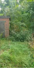 Земельный участок площадью 750 кв. м, кадастровый номер: 50:03:0050418:84, виды разрешенного использования объекта недвижимости: личное подсобное хозяйство. Основание государственной регистрации: Договор купли-продажи (купчая) земельного участка, выдан 14.08.2014г. Вид права…