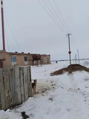Центральная котельная 264 кв.м с участком 634 кв.м, Оренбургская область. Здание, площадь 264 кв.м, наименование: центральная котельная, назначение: нежилое, количество этажей: 1, в том числе подземных 0, местоположение: Оренбургская область, Илекский р-н, с. Студеное, ул. Бокова, д. 123 А…