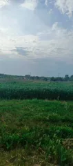 1/5 доля в праве собственности на земельный участок площадью 1000+/-22 кв.м., расположенный по адресу: Республика Татарстан, Спасский муниципальный район, село Три Озера, улица Луговая, участок № 11, кадастровый номер 16:37:140101:808