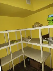 Помещение нежилое, кад. № 11:05:0106053:419, адрес Республика Коми, г.Сыктывкар, ул.Д.Каликовой, д. 36, 234.4 кв. м