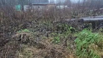 Земельный участок площадью 1100 кв.м. Земли населенных пунктов, сельскохозяйственного назначения. Расположен по адресу: Ленинградская область, Лодейнопольский муниципальный район, Алеховщинское сельское поселение, садоводческое товарищество "Новинка", участок № 338 (кадастровый номер…