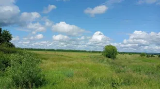 Земельный участок площадью 2500 кв.м. Назначение: земли населенных пунктов. Вид разрешенного использования: для ведения личного подсобного хозяйства. Адрес: Россия, Пензенская область, Земетчинский район, село Графинино, улица Садовая, дом 61. Местоположение установлено относительно ориентира…