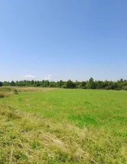 1/4 доля земельного участка, 8927 кв.м, Ярославская обл, с. Мосейцево, еще 1/4 доля земельного участка в Ярославской обл., еще 1/4 доля в праве на земельный участок, площадь: 8 927 кв.м., адрес (местонахождение): 152114, Россия, Ярославская обл, Ростовский р-н, с. Мосейцево, 1, кадастровый номер…