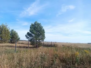 земельный участок с кадастровым номером 33:06:110201:398, предназначенный для передачи гражданам для ведения личного подсобного хозяйства (приусадебный земельный участок) в аренду сроком на 20 лет из земель населенных пунктов, площадью 1989 кв. м., расположенный по адресу: Владимирская область…