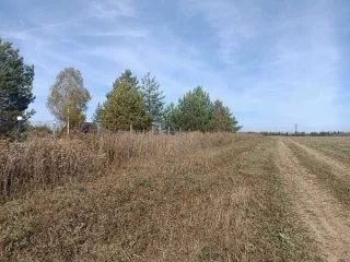 земельный участок с кадастровым номером 33:06:110201:398, предназначенный для передачи гражданам для ведения личного подсобного хозяйства (приусадебный земельный участок) в аренду сроком на 20 лет из земель населенных пунктов, площадью 1989 кв. м., расположенный по адресу: Владимирская область…