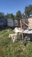 Земельный участок 900 кв.м и дом 89.8 кв.м, Саратовская обл. Адрес: Россия, Саратовская область, Александрово-Гайский район, поселок Васильки, улица Мирная, дом 1/1. Кадастровый номер участка: 64:01:030701:130. Кадастровый номер дома: 64:01:030701:132. Находится в долевой собственности, размер…