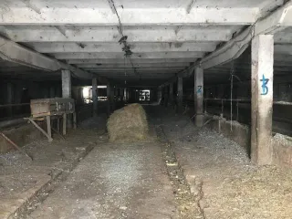 Здания коровников и земельный участок 60 468 кв.м, Волгоградская обл. Здания и земельный участок 60468 кв.м в Волгоградской обл. еще 1. Здание коровника 34:20:070003:276 2. Здание коровника 34:20:070005:1621 3. Земельный участок 34:20:070005:111 Принадлежит на право общей совместной собственности.