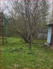 Земельный участок 902 кв.м в Тверской области, Калининский район, сельское поселение Никулинское, СНТ "Надежда", участок 7. Кадастровый номер: 69:10:0244301:7. Вид собственности: индивидуальная.