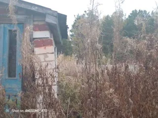 Жилой дом площадью 12,8 кв.м и земельный участок площадью 512 кв.м. Кадастровый номер дома: 66:27:1105001:330. Кадастровый номер участка: 66:27:1105001:23. Категория земель: земли населенных пунктов. Вид разрешенного использования: для садоводства.