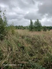 Земельный участок 1470 кв.м КН 50:06:0040306:2931 Московская область Площадь земельного участка: 1470 Кадастровый номер земельного участка: 50:06:0040306:2931 Основной вид разрешенного использования: 2.1