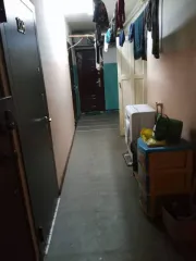 Доля 1/3 в комнате 18,2 м² по адресу: Россия, Республика Коми, г. Сыктывкар, пгт. Краснозатонский, ул. Ломоносова, дом 50, комната 125, кадастровый номер: 11:05:0401011:1118. В ЕГРН имеется непогашенная ипотека в пользу физического лица; возможна регистрация несовершеннолетних.