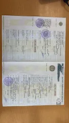 Nissan Qashqai 2012 Автомобиль марки Nissan модель Qashqai 2012 г.в., VIN-номер SJNFBNJ10U2451520 Имущество находится в залоге у ПАО «Совкомбанк» на основании Определения Арбитражного суда г. Москвы от 05 сентября 2025 г. по делу № А40-102405/25-88-228 "Ф" Оформление права собственности на…