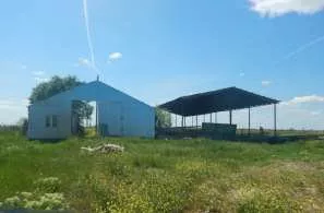 Сооружение навеса, назначение: нежилое. Общей площадью 200 кв.м. Кадастровый номер: 05:05:000007:1619. Лит «Г», Этажность 1. Здание коровника, назначение: нежилое. Общей площадью 429,8 кв.м. Кадастровый номер: 05:05:000007:1582. Лит «Д», Этажность 1. Земельный участок, категория земель: земли…
