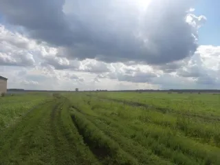 Право долгосрочной аренды земельного участка площадью 1 943 853 кв.м, кадастровый номер 02:47:121101:10, адрес: Местоположение установлено относительно ориентира, расположенного в границах участка. Почтовый адрес ориентира: Республика Башкортостан, р-н. Уфимский, с/с. Николаевский. Имеются…
