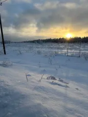 Земельный участок 1200 кв.м в Московской области, Сергиево-Посадский район, в районе деревни Новоселки, северо-восточная часть кадастрового квартала 50:05:0020237.