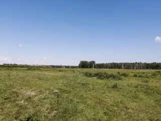 Земельный участок в собственность для ведения личного подсобного хозяйства (ЛПХ). Вид разрешённого использования: 2.2.