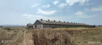Нежилое здание - птицефабрика, лит. А, общей площадью 1242,3 кв.м, кадастровый номер 06:01:0900001:1635; Нежилое здание - птичник, лит. Г1, общей площадью 1224,6 кв.м, кадастровый номер 06:01:0900001:1889; Земельный участок. Категория земель: Земли населённых пунктов, виды разрешенного…