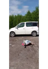 Toyota Funcargo 2000 год, номер кузова NCP250019659.