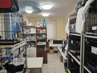 Нежилое помещение 73,1 кв. м Москва по адресу: г. Москва, ул. Палехская, д. 21, пом. 5/1Э, общей площадью 73,1 кв. м. (Этаж № 1), кадастровый номер: 77:02:0013004:2401 Назначение нежилого помещения: Ветеринарная аптечная организация