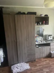 Квартира 29,7 кв.м, Московская область, Одинцовский район, поселок Новый Городок, дом 16, квартира 76. Однокомнатная, 4 этаж. Площадь 29.7 кв.м, назначение жилое. Год постройки дома 1968, тип многоквартирный жилой дом. Коммуникации имеются, открытый балкон или лоджия, состояние типовой ремонт…