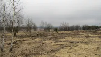 Аренда земельного участка 1 500 кв.м. ИЖС в Рузском м.о. (КН 50:19:0040307:1017) Аренда земельного участка 1 500 кв.м. ИЖС в Рузском м.о. (КН 50:19:0040307:1017) 
Площадь земельного участка: 1500 
Кадастровый номер земельного участка: 50:19:0040307:1017 
Вид разрешённого использования земельного…