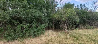 Земельный участок 518 кв.м, Андроповский район, Ставропольский край, площадь 518 +/- 8 кв.м, кадастровый номер 26:17:040903:1013, адрес: Российская Федерация, Ставропольский край, Андроповский район, с. Султан, пер. Западный, категория земель: земли населенных пунктов, виды разрешенного…
