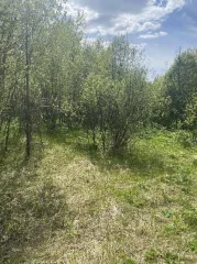 Земельные участки, 52 310 кв. м, Ярославская обл., Переславский р-н, ДНП «Союз дачников» (16 поз.) - 52 310 +/- 162 кв. м, адрес: Ярославская обл., Переславский р-н, с/о Глебовский, вблизи дер. Большое Пальцино, земли сельскохозяйственного назначения - для ведения дачного хозяйства.
