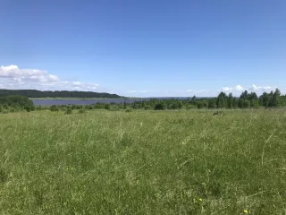 Земельный участок - 29 973 +/- 61 кв. м, кадастровый номер 59:20:3390101:1722, земли сельскохозяйственного назначения - для садоводства, земельный участок фактически представляет собой автомобильную облегченную дорогу с переходным типом дорожного покрытия
Адрес: местоположение установлено…