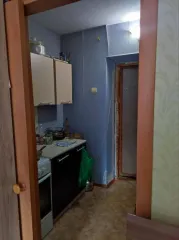 Квартира 18.4 кв.м, Екатеринбург, назначение: жилое, этаж: 3, адрес: ул. Таганская, д. 6а, кв. 70, кадастровый номер: 66:41:0108090:3305. Находится в долевой собственности, размер доли: 1/2.