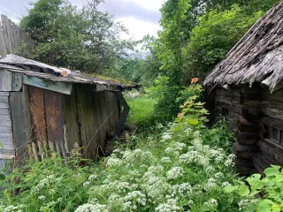 Земельный участок 805 кв.м. и жилой дом 28,2 кв.м., Новгородская обл. Земельный участок, площадь 805 кв.м., адрес (местонахождение): Россия, Новгородская, Маловишерский, д. Мстинский Мост, Набережная, дом 2а, кадастровый (условный) номер: 53:08:0102101:160, вид собственности: индивидуальная, Жилой…
