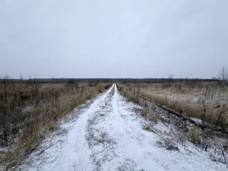 Земельный участок 600 кв.м в Московской области, городской округ Раменский, деревня Аргуново. Кадастровый номер: 50:23:0050573:1513. Площадь: 600 +/- 17 кв.м. Категория земель: сельскохозяйственного назначения. Вид разрешенного использования: для ведения садоводства.
