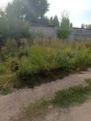 Земельный участок, кадастровый номер: 64:41:410819:48, категория земель: земли поселений, разрешенное использование: для размещения гаража (индивидуальное гаражное строительство), общая площадь 24 кв.м., по адресу: Саратовская область, г. Балашов, ул. Юбилейная, в 35,0 м северо-западнее…