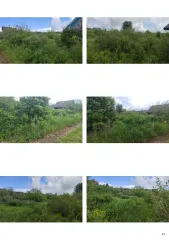 Земельный участок 278, 6 линия, с. Месягутово, Республика Башкортостан. Кадастровый номер 02:21:171001:376, расположен по адресу: Республика Башкортостан, Дуванский район, СП Месягутовский с/с, с. Месягутово, к/с «Ай», линия №6, участок №278.