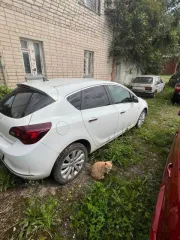 Opel Astra J, VIN: XUFPE6DD2D3026921, категория B, 2013 г.в., модель двигателя A16XER 20ST8361, кузов: XUFPE6DD2D3026921, цвет белый, мощность 116 л.с. (85 кВт), объем 1596 см³, максимальная масса 1940 кг, масса без нагрузки 1443 кг.