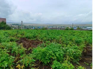 Земельный участок площадью 1123 кв.м для индивидуального жилищного строительства. Категория земель: земли населенных пунктов. Кадастровый номер: 16:07:250102:626. Местоположение: РФ, Республика Татарстан, Альметьевский район, Кама-Исмагиловское сельское поселение, село Кама-Исмагилово, улица…