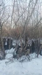 Земельный участок 1000 кв.м, Новокузнецкий р-н, сдт "Коттедж", кадастровый номер: 42:09:1021001:17, почтовый адрес: обл. Кемеровская, р-н Новокузнецкий, сдт "Коттедж", участок 17, площадь: 1000 кв.м.