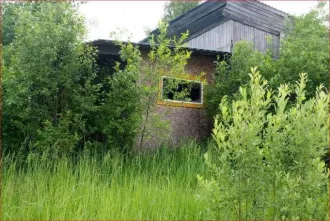 Нежилое здание 43 кв.м и земельный участок 250 кв.м в Костромской области, Мантуровский район, город Мантурово, улица Победы. Здание кафе-бара "Теремок". Кадастровый номер здания: 44:28:030207:66. Кадастровый номер земельного участка: 44:28:030231:86. Категория земель: земли населенных пунктов…