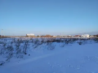 Земельный участок площадью 1200+/-24 кв. м, кадастровый номер 27:17:0302901:476, вид разрешенного использования - для строительства индивидуального жилого дома, местонахождение: примерно 635 м по направлению на юго-восток от ориентира (нежилое здание). Адрес ориентира: Хабаровский край, Хабаровский…