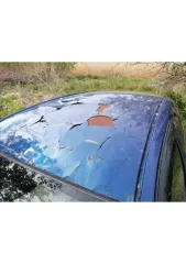 Toyota Vitz 1999 года, 70 л.с., пробег 300000 км, автоматическая коробка передач. Цвет синий, VIN 39 РН 120962, государственный номер О486АХ154. Разрешенная максимальная масса 1270 кг, снаряженная масса 980 кг.