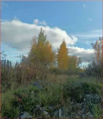 Земельный участок площадью 5178 кв.м. Адрес: Свердловская обл, г. Новоуральск, ул. Шевченко, дом 24. Категория земель: земли населенных пунктов. Разрешенное использование: для эксплуатации теплиц. Кадастровый номер: 66:57:0101008:147. Обременение: сервитут № 66-66-31/042/2006-001/1 от 30.03.2015.