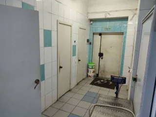 Нежилое помещение, площадь 150,3 кв.м., адрес: Россия, Челябинская область, город Челябинск, улица Василевского, дом 70, помещение 5, кадастровый номер: 74:36:0308026:79
