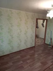 1/3 доля в квартире, кадастровый номер: 74:26:1102008:519-74