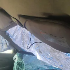 Автомобиль марки SUBARU модель Impreza 2006 г.в. номер кузова GG2 084327 Ознакомиться с предметом торгов можно по адресу: автостоянка г. Братск – ориентир Карла Маркса, 6, с момента публикации сообщения о продаже имущества и до окончания приема заявок, по предварительной записи по телефону 8901 65…